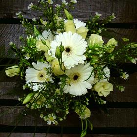 fwthumb20 bridesmaids handtie 65.00.jpg